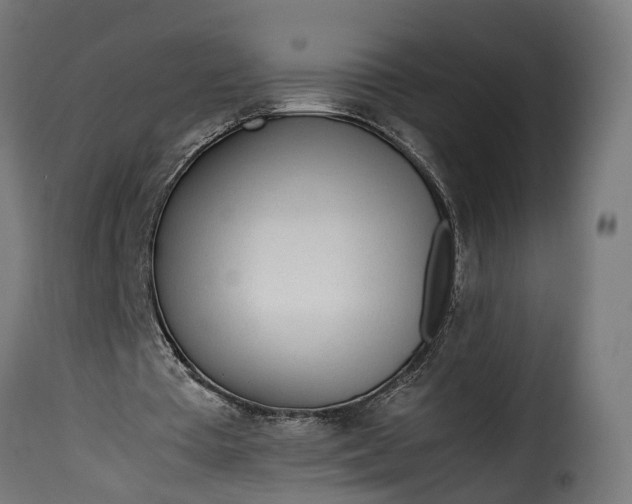 X0000115640385200911241716