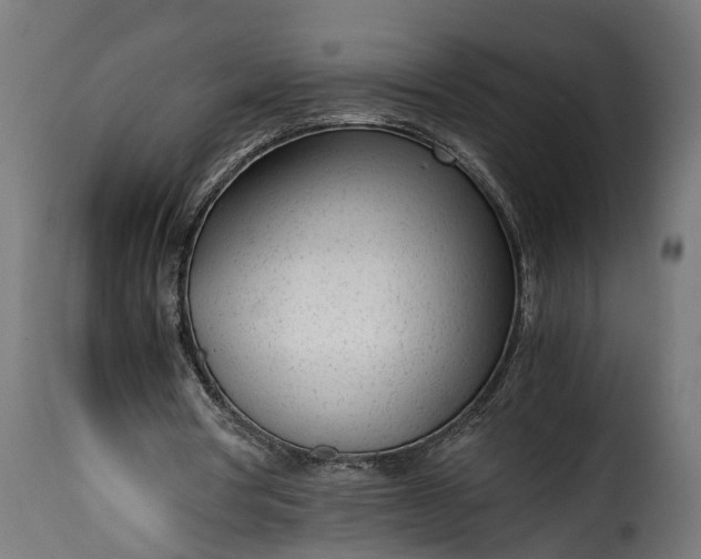 X0000115640386200911241716