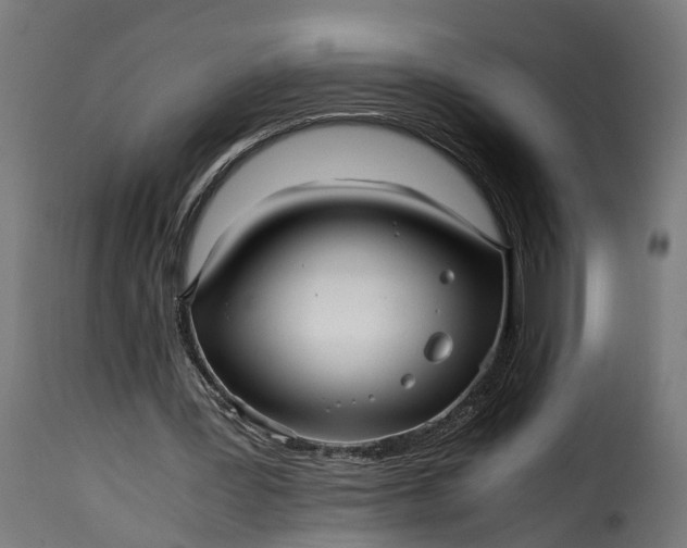 X0000115640387200911241716