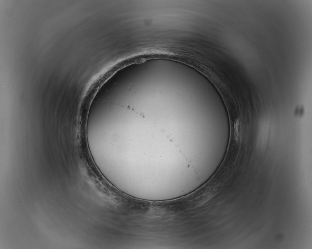 X0000115640388200911241716