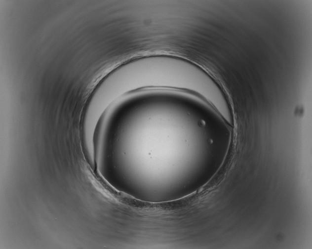 X0000115640389200911241716