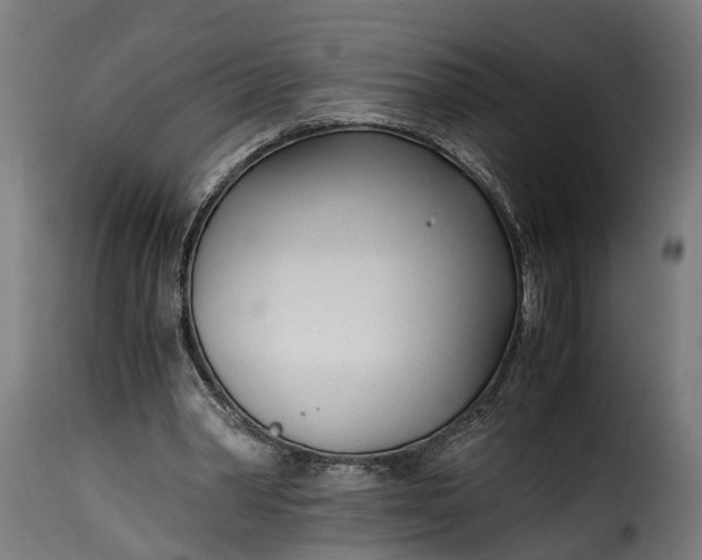 X0000115640390200911241716