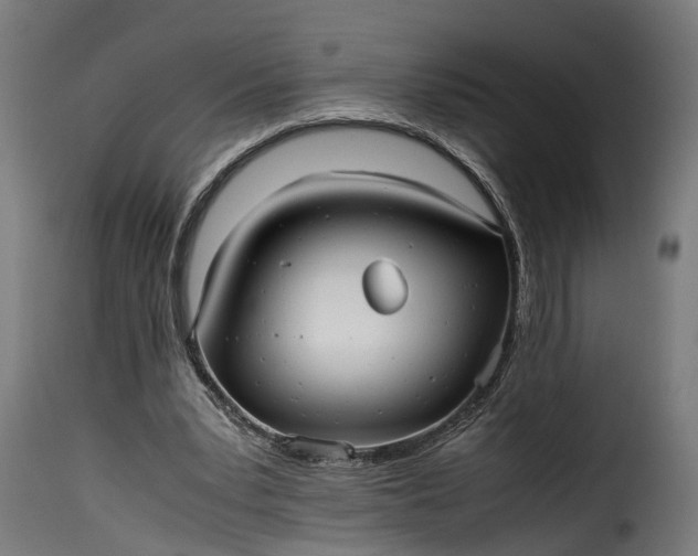 X0000115640391200911241716