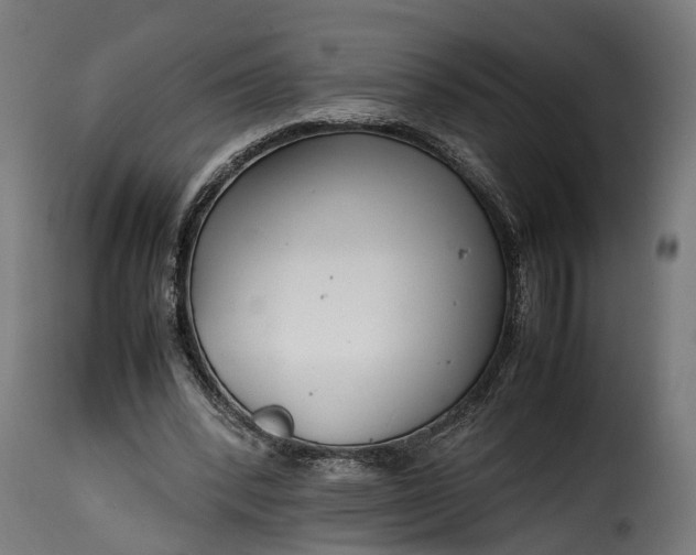 X0000115640392200911241716