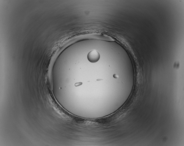 X0000115640393200911241716