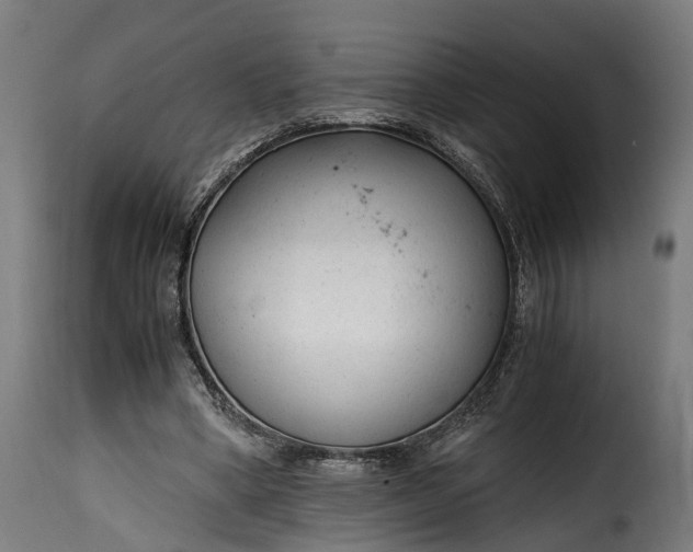 X0000115640394200911241716