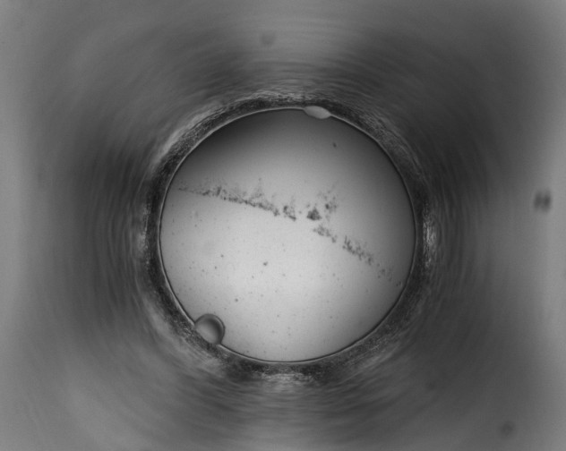 X0000115640396200911241716