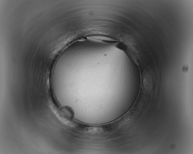 X0000115640398200911241716