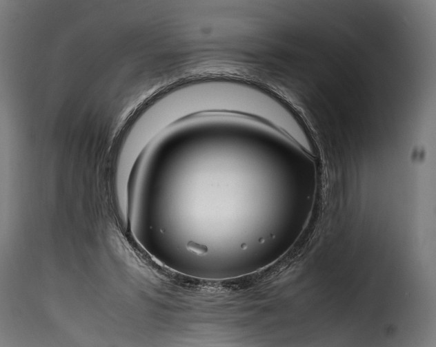 X0000115640399200911241716