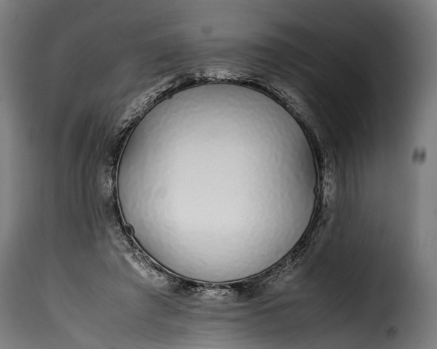 X0000115640401200911241716