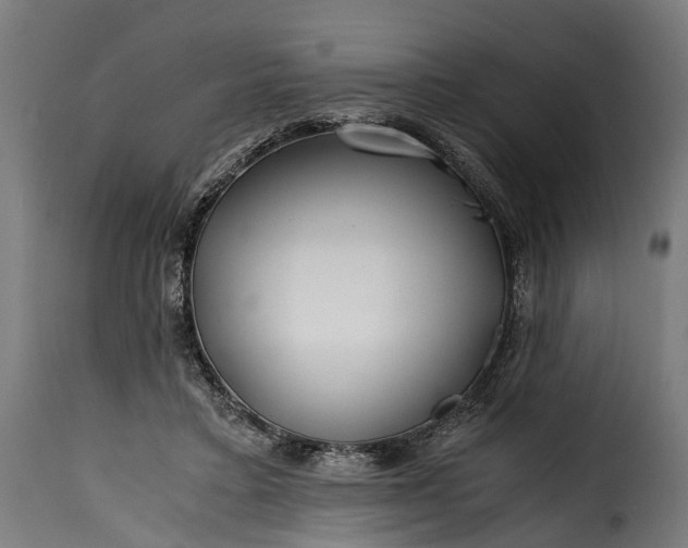 X0000115640403200911241716