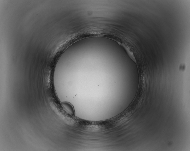 X0000115640404200911241716