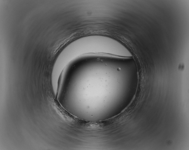 X0000115640405200911241716