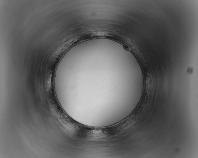 X0000115640406200911241716