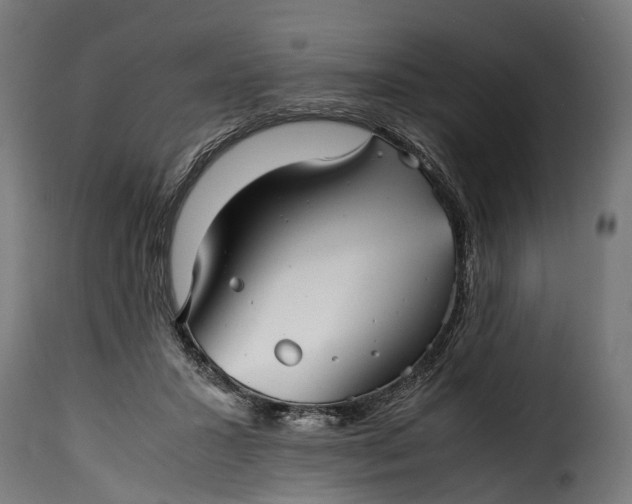 X0000115640407200911241716