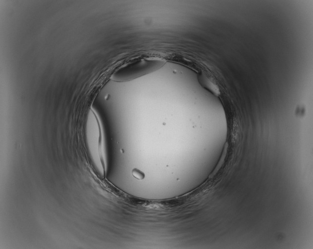 X0000115640409200911241716