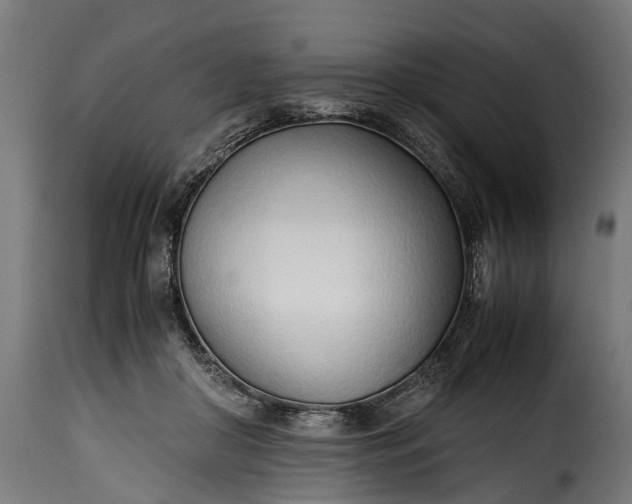 X0000115640410200911241716