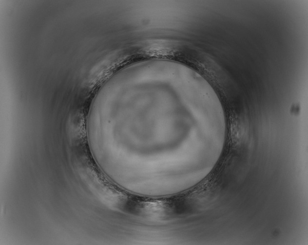 X0000115640411200911241716