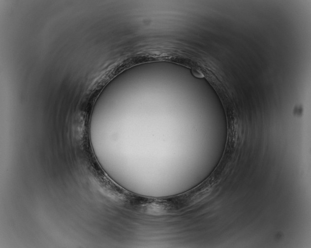 X0000115640412200911241716