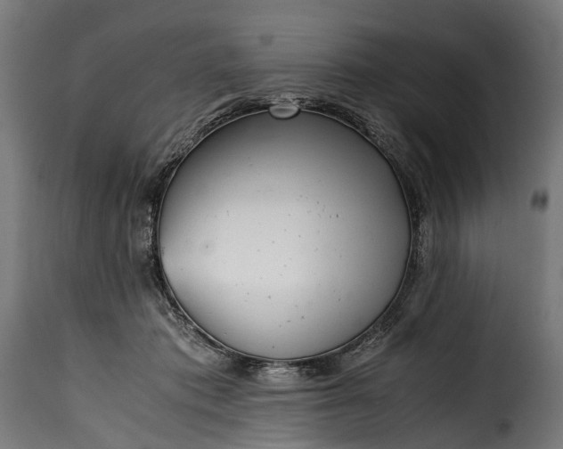 X0000115640413200911241716