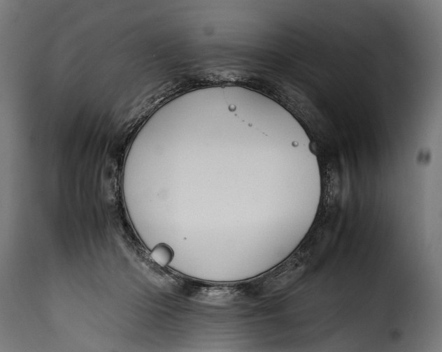 X0000115640414200911241716