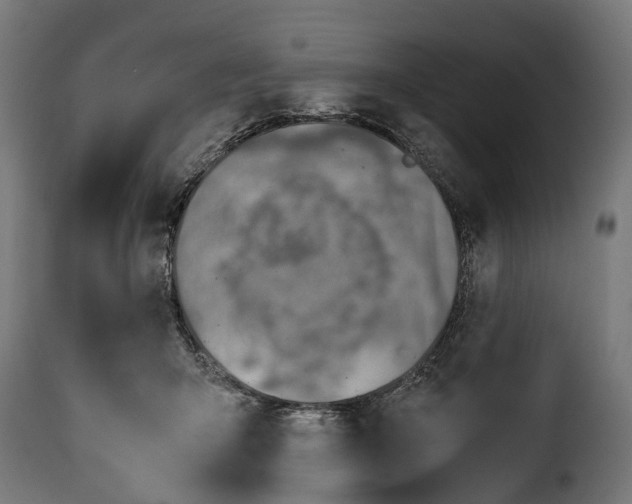 X0000115640415200911241716