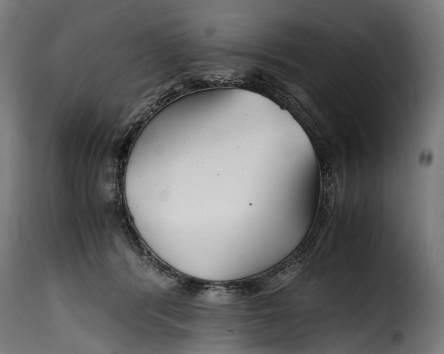 X0000115640416200911241716