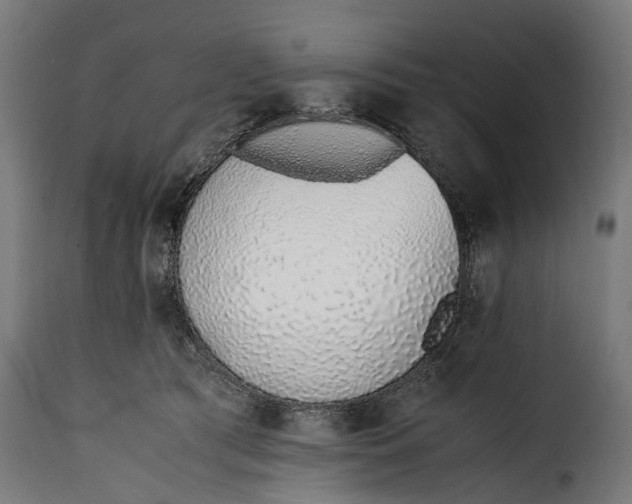 X0000115640417200911241716