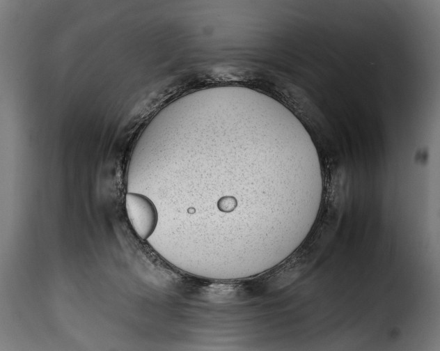 X0000115640418200911241716