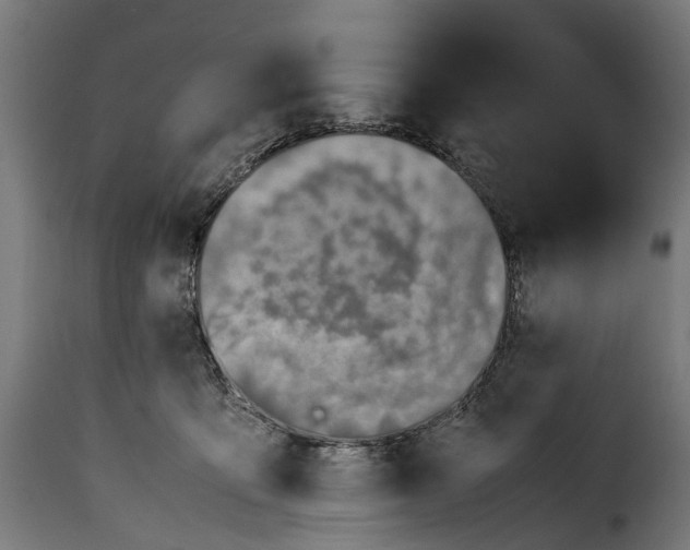 X0000115640419200911241716