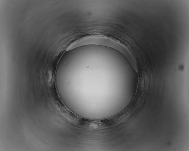 X0000115640420200911241716