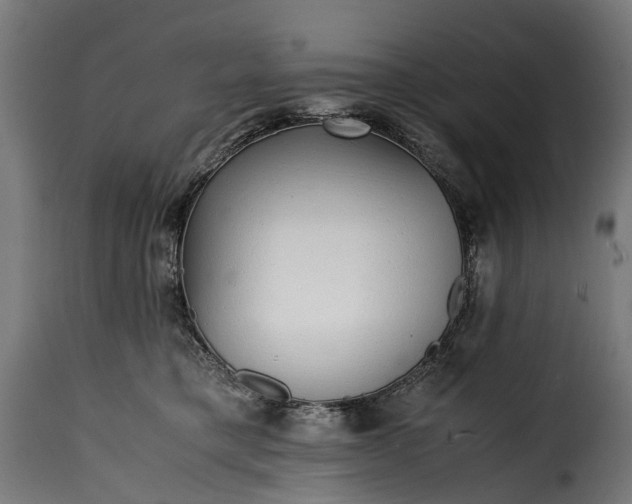 X0000115640421200911241716