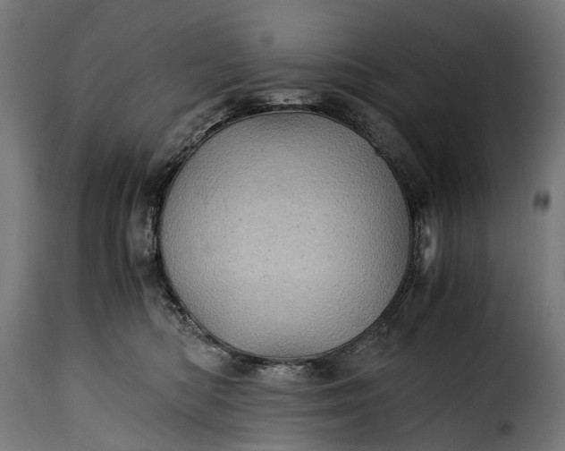 X0000115640422200911241716