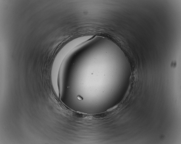 X0000115640423200911241716