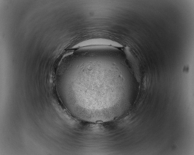 X0000115640424200911241716