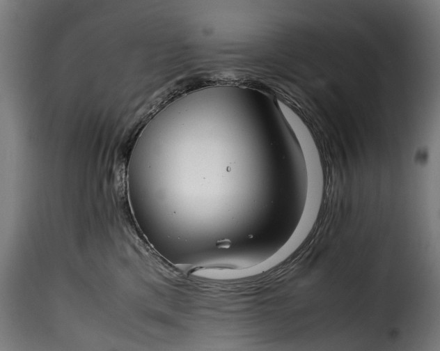 X0000115640425200911241716