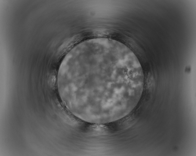 X0000115640427200911241716