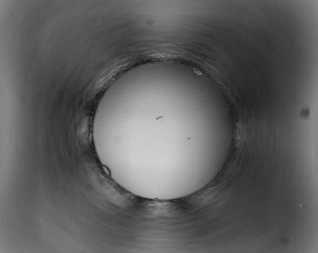 X0000115640428200911241716