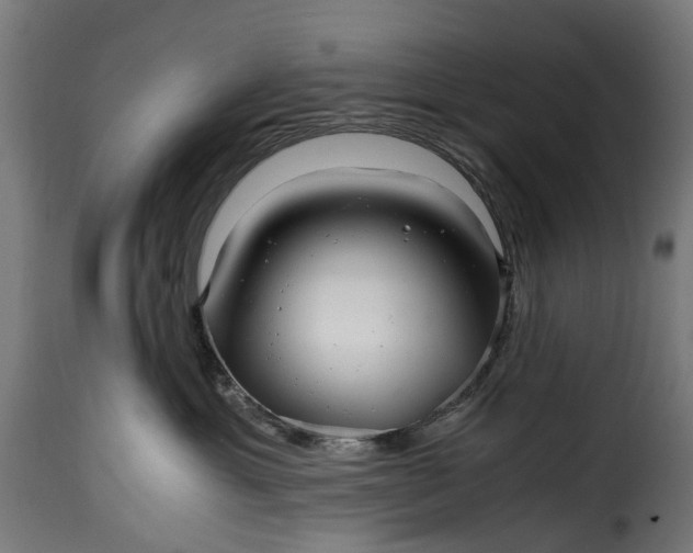 X0000115640429200911241715