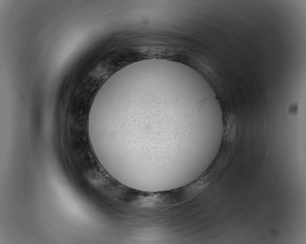 X0000115640430200911241715