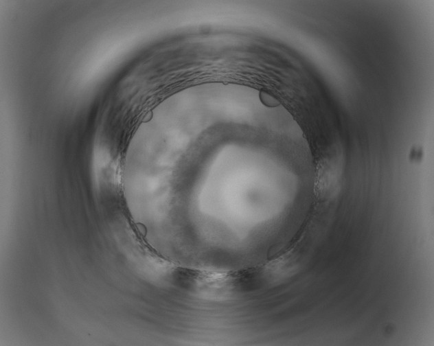 X0000115640431200911241715