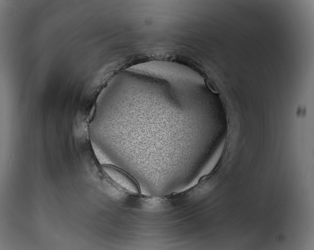 X0000115640432200911241715