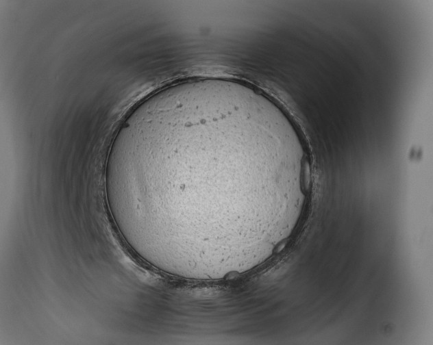 X0000115640433200911241715