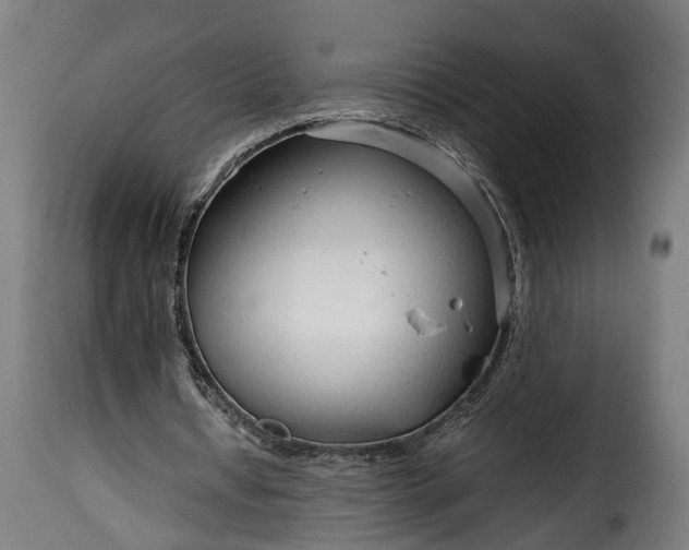 X0000115640434200911241715