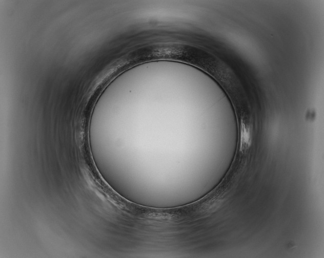 X0000115640435200911241715