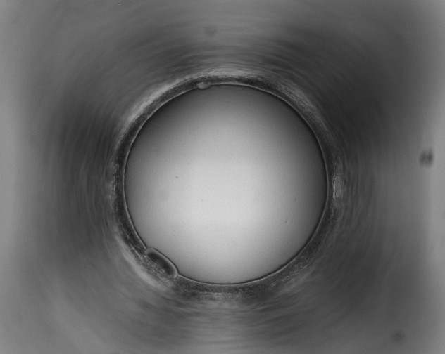 X0000115640436200911241715