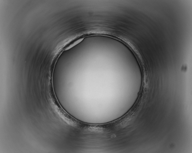 X0000115640437200911241715