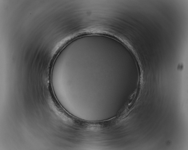 X0000115640438200911241715