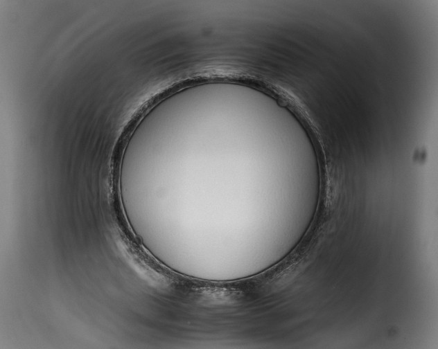 X0000115640439200911241715