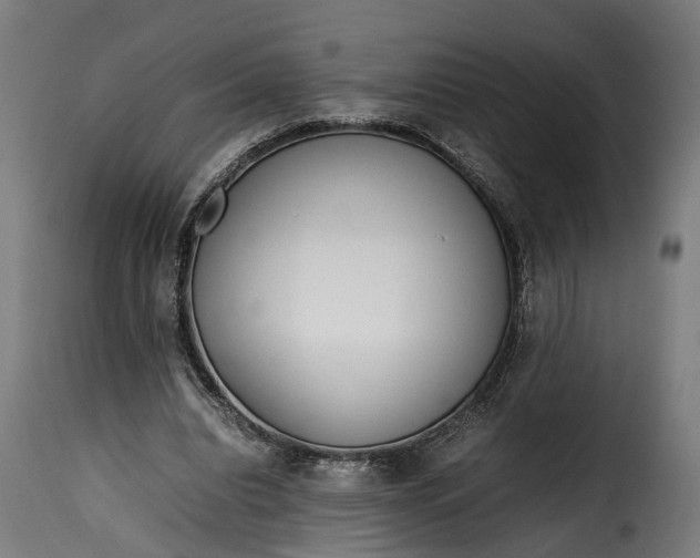 X0000115640440200911241715